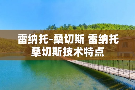 雷纳托-桑切斯 雷纳托桑切斯技术特点 雷纳托-桑切斯 雷纳托桑切斯技术特点