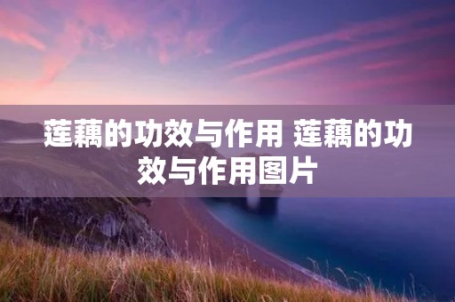 莲藕的功效与作用 莲藕的功效与作用图片