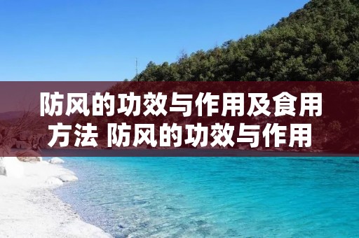 防风的功效与作用及食用方法 防风的功效与作用点及用法