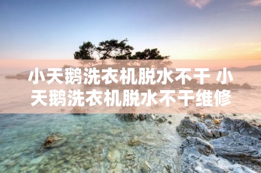 小天鹅洗衣机脱水不干 小天鹅洗衣机脱水不干维修视频教程 小天鹅洗衣机脱水不干 小天鹅洗衣机脱水不干维修视频教程