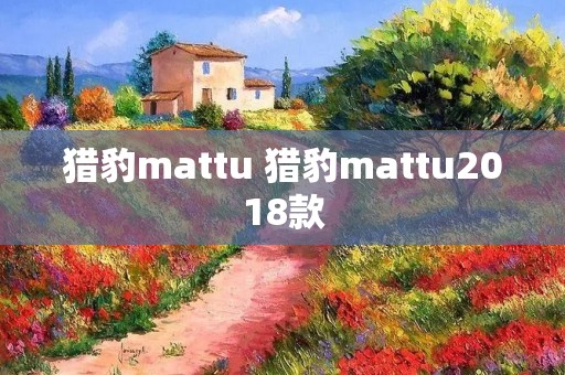 猎豹mattu 猎豹mattu2018款