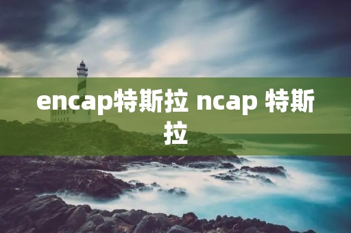 encap特斯拉 ncap 特斯拉
