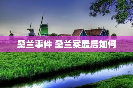 桑兰事件 桑兰案最后如何