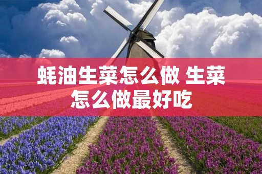 蚝油生菜怎么做 生菜怎么做最好吃