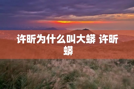 许昕为什么叫大蟒 许昕 蟒 许昕为什么叫大蟒 许昕 蟒