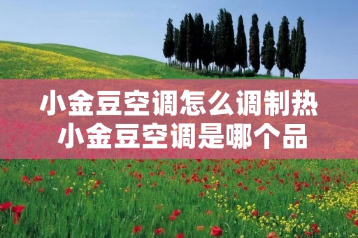 小金豆空调怎么调制热 小金豆空调是哪个品牌 小金豆空调怎么调制热 小金豆空调是哪个品牌