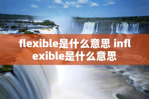 flexible是什么意思 inflexible是什么意思