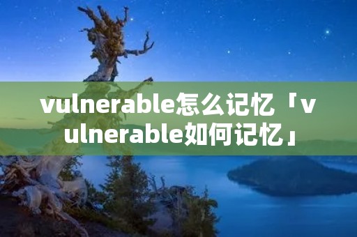 vulnerable怎么记忆「vulnerable如何记忆」