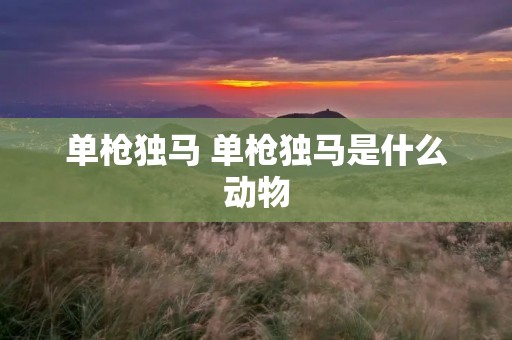 单枪独马 单枪独马是什么动物