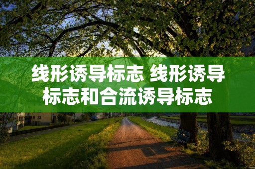 线形诱导标志 线形诱导标志和合流诱导标志