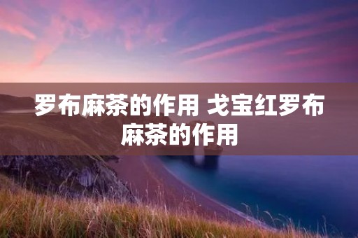罗布麻茶的作用 戈宝红罗布麻茶的作用