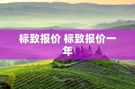 标致报价 标致报价一年