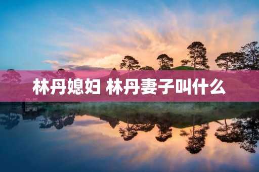 林丹媳妇 林丹妻子叫什么