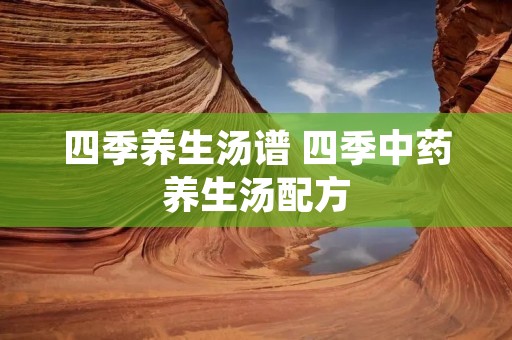 四季养生汤谱 四季中药养生汤配方