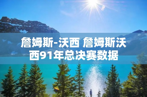 詹姆斯-沃西 詹姆斯沃西91年总决赛数据