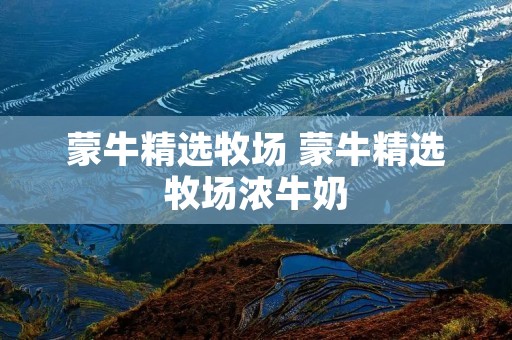 蒙牛精选牧场 蒙牛精选牧场浓牛奶