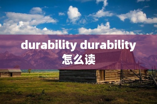 durability durability怎么读