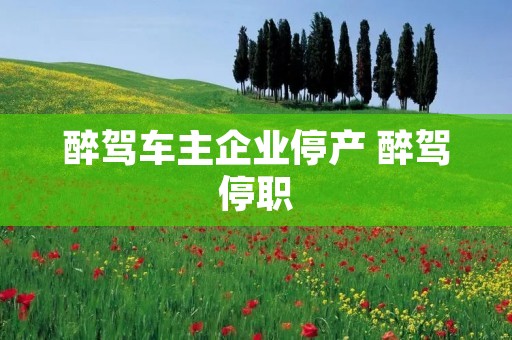 醉驾车主企业停产 醉驾停职