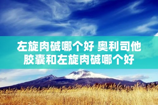 左旋肉碱哪个好 奥利司他胶囊和左旋肉碱哪个好