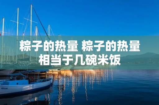 粽子的热量 粽子的热量相当于几碗米饭