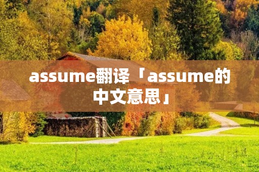 assume翻译「assume的中文意思」