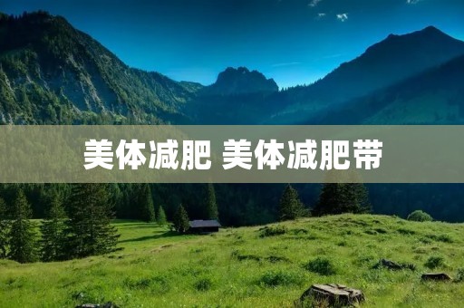 美体减肥 美体减肥带 美体减肥 美体减肥带
