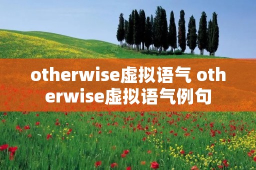 otherwise虚拟语气 otherwise虚拟语气例句
