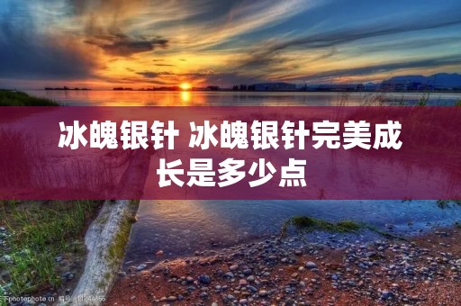 冰魄银针 冰魄银针完美成长是多少点 冰魄银针 冰魄银针完美成长是多少点