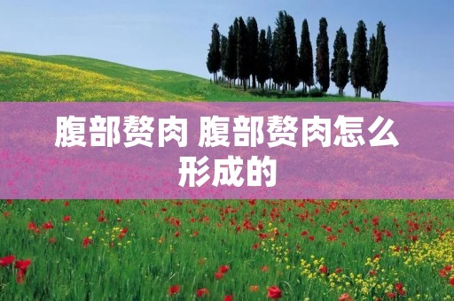腹部赘肉 腹部赘肉怎么形成的