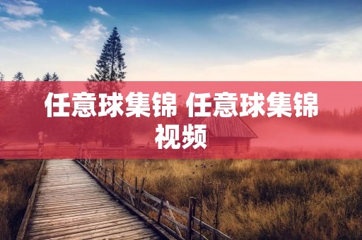 任意球集锦 任意球集锦视频