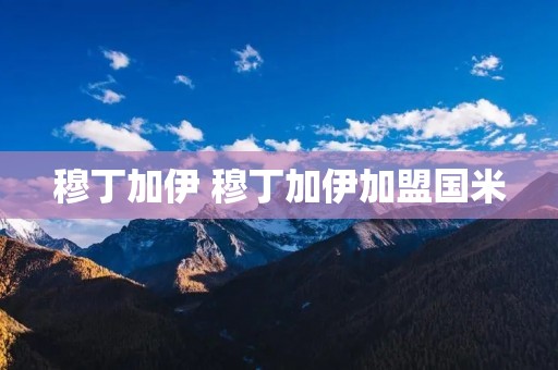 穆丁加伊 穆丁加伊加盟国米