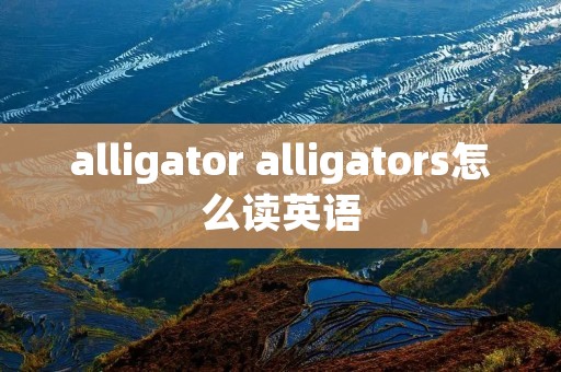 alligator alligators怎么读英语