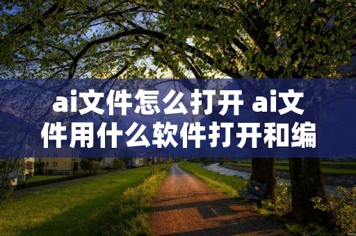 ai文件怎么打开 ai文件用什么软件打开和编辑