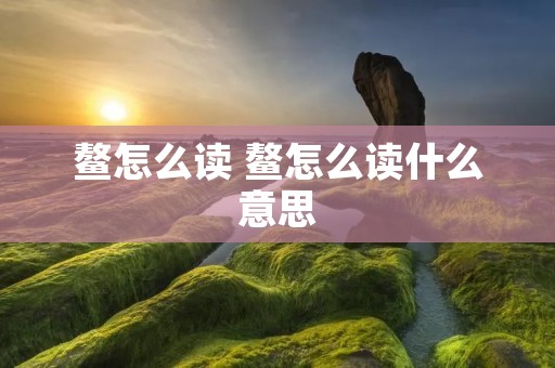 鳌怎么读 鳌怎么读什么意思