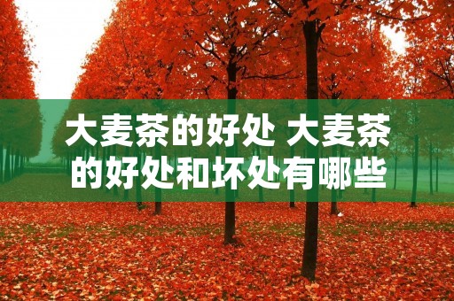 大麦茶的好处 大麦茶的好处和坏处有哪些 大麦茶的好处 大麦茶的好处和坏处有哪些