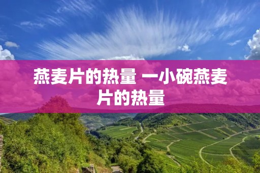 燕麦片的热量 一小碗燕麦片的热量