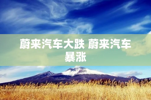 蔚来汽车大跌 蔚来汽车暴涨