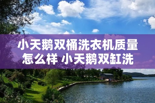 小天鹅双桶洗衣机质量怎么样 小天鹅双缸洗衣机哪个型号好