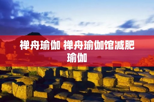 禅舟瑜伽 禅舟瑜伽馆减肥瑜伽