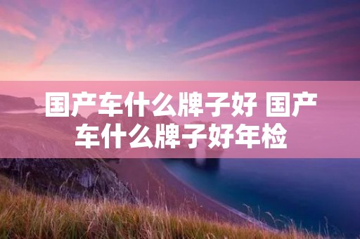 国产车什么牌子好 国产车什么牌子好年检 国产车什么牌子好 国产车什么牌子好年检