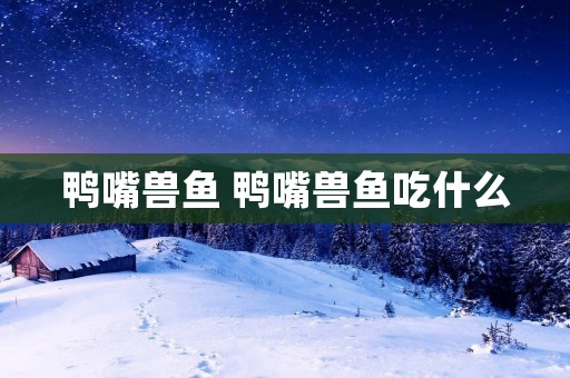 鸭嘴兽鱼 鸭嘴兽鱼吃什么