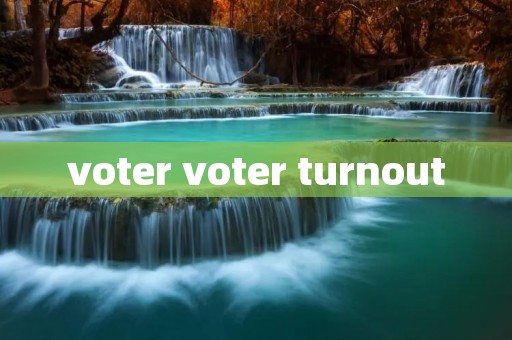 voter voter turnout