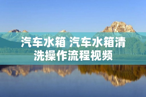 汽车水箱 汽车水箱清洗操作流程视频