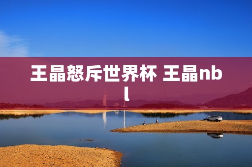 王晶怒斥世界杯 王晶nbl