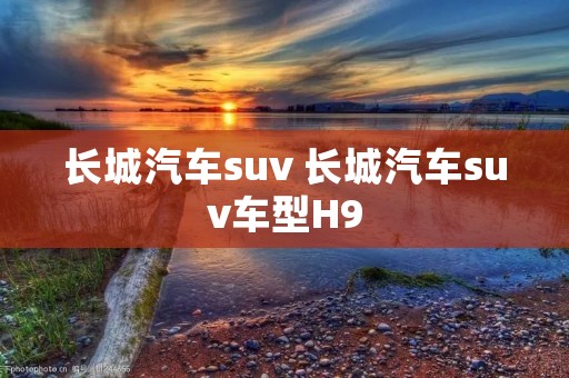 长城汽车suv 长城汽车suv车型H9
