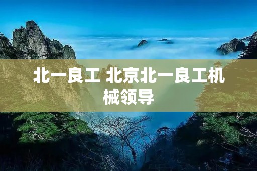 北一良工 北京北一良工机械领导