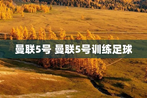 曼联5号 曼联5号训练足球 曼联5号 曼联5号训练足球