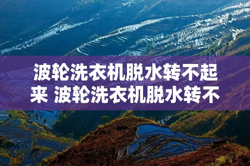 波轮洗衣机脱水转不起来 波轮洗衣机脱水转不起来什么原因视频