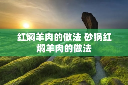 红焖羊肉的做法 砂锅红焖羊肉的做法