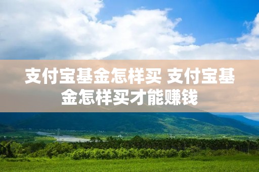 支付宝基金怎样买 支付宝基金怎样买才能赚钱
